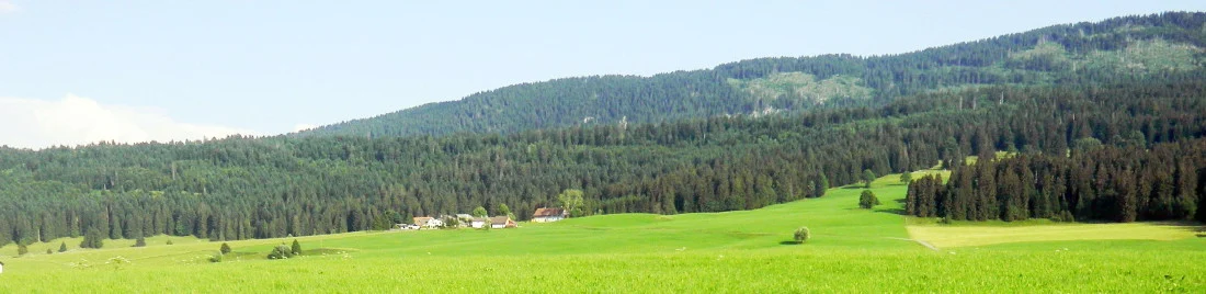 Le hameau des Grangettes, avec ses prairies et la forêt du Jura à l’arrière-plan